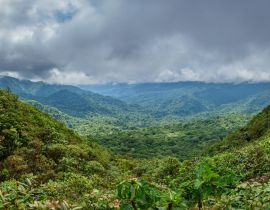 Lais Puzzle - Nebelwald im Bosque Nuboso Monteverde, Costa Rica - 40, 100, 200, 500, 1.000 & 2.000 Teile