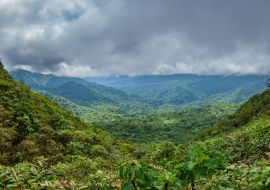 Lais Puzzle - Nebelwald im Bosque Nuboso Monteverde, Costa Rica - 1.000 Teile