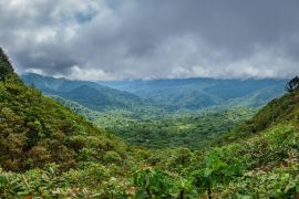 Lais Puzzle - Nebelwald im Bosque Nuboso Monteverde, Costa Rica - 2.000 Teile