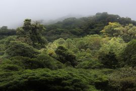 Lais Puzzle - Die Landschaft des Monteverde-Regenwaldes, Costa Rica - 2.000 Teile