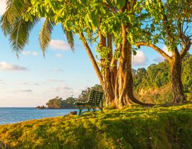 Lais Puzzle - Eine leere Bank unter einem tropischen Baum bei Sonnenuntergang vor dem Pazifischen Ozean im feuchten Regenwald, Corcovado-Nationalpark, Osa-Halbinsel, Costa Rica - 40, 100, 200, 500, 1.000 & 2.000 Teile