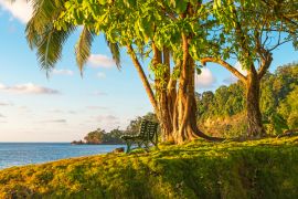 Lais Puzzle - Eine leere Bank unter einem tropischen Baum bei Sonnenuntergang vor dem Pazifischen Ozean im feuchten Regenwald, Corcovado-Nationalpark, Osa-Halbinsel, Costa Rica - 2.000 Teile
