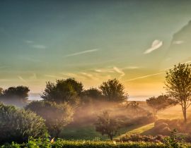 Lais Puzzle - Nebliger, feuchter Morgen am Gendarmstien in Vemmingbund, Dänemark - 40, 100, 200, 500, 1.000 & 2.000 Teile