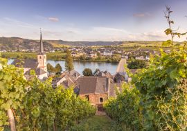 Lais Puzzle - Blick auf Mosel und Weinberge in Deutschland Piesport - 1.000 Teile