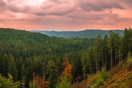 Lais Puzzle - Panoramablick von der Schwarzwaldhochstraße in Deutschland - 2.000 Teile
