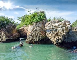 Lais Puzzle - Karibischer Traumurlaub: Pelikane auf Los Haitises / Samara / Dominikanische Republik - 40, 100, 200, 500, 1.000 & 2.000 Teile