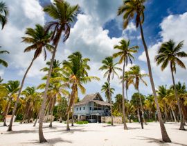 Lais Puzzle - Panoramaansicht einer tropischen Villa am paradiesischen Strand mit Palmen auf der Insel Saona, Dominikanische Republik - 40, 100, 200, 500, 1.000 & 2.000 Teile