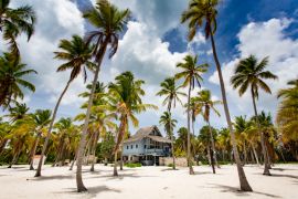 Lais Puzzle - Panoramaansicht einer tropischen Villa am paradiesischen Strand mit Palmen auf der Insel Saona, Dominikanische Republik - 2.000 Teile