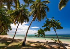Lais Puzzle - Paradiesischer Strand mit weißem Sand, Palmen und blauem Wasser des Atlantischen Ozeans, Las Terrenas, Samana, Dominikanische Republik - 1.000 Teile