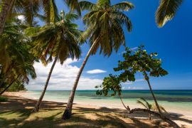 Lais Puzzle - Paradiesischer Strand mit weißem Sand, Palmen und blauem Wasser des Atlantischen Ozeans, Las Terrenas, Samana, Dominikanische Republik - 2.000 Teile