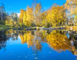 Lais Puzzle - Japanischer Garten aus Steinen im Park Kadriorg mit schönem Teich im goldenen Herbst. Tallinn, Estland - 40, 100, 200, 500, 1.000 & 2.000 Teile