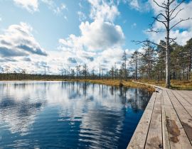 Lais Puzzle - Die Landschaft um das Viru-Moor, Lahemaa-Nationalpark, Estland - 40, 100, 200, 500, 1.000 & 2.000 Teile