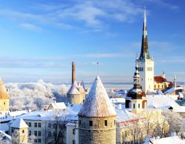 Lais Puzzle - Tallinn Stadt. Estland. Schnee auf Bäumen im Winter - 40, 100, 200, 500, 1.000 & 2.000 Teile
