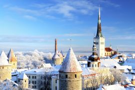 Lais Puzzle - Tallinn Stadt. Estland. Schnee auf Bäumen im Winter - 2.000 Teile