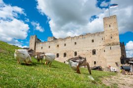 Lais Puzzle - Gänse in einer mittelalterlichen Festung. Rakvere, Estland - 2.000 Teile