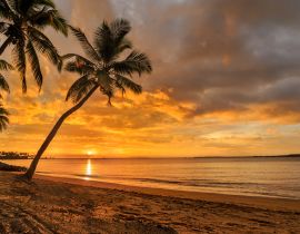 Lais Puzzle - Sonnenuntergang am fidschianischen Strand - 40, 100, 200, 500, 1.000 & 2.000 Teile