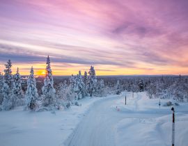 Lais Puzzle - Winterlandschaft in Lappland, Finnland - 40, 100, 200, 500, 1.000 & 2.000 Teile