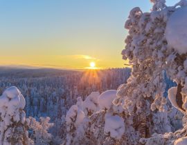 Lais Puzzle - Winterlandschaft von Sotkamo, Finnland - 40, 100, 200, 500, 1.000 & 2.000 Teile