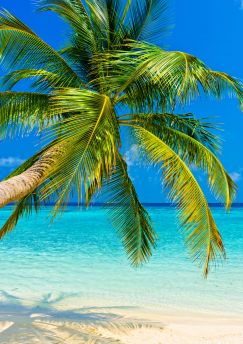 Lais Puzzle - Tropischer Strand - 500 & 1.000 Teile