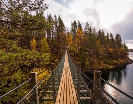 Lais Puzzle - Hängebrücke im Herbstwald, Oulanka-Nationalpark, Finnland - 40, 100, 200, 500, 1.000 & 2.000 Teile