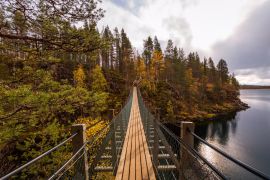 Lais Puzzle - Hängebrücke im Herbstwald, Oulanka-Nationalpark, Finnland - 2.000 Teile