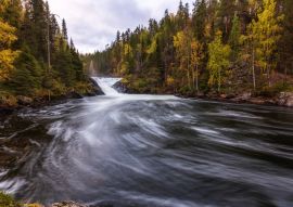 Lais Puzzle - Schöner Fluss mit Wasserfall im Herbstwald, Oulanka-Nationalpark, Finnland - 500, 1.000 & 2.000 Teile