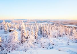 Lais Puzzle - Majestätischer Winter in Finnland - 1.000 Teile