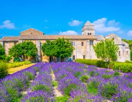 Lais Puzzle - Lavendelfeld im Kloster von Saint Paul de Mausole in Frankreich - 40, 100, 200, 500, 1.000 & 2.000 Teile