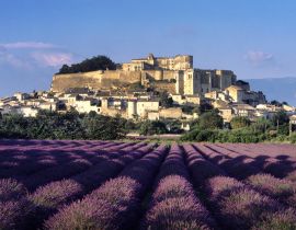 Lais Puzzle - Drome, Provence, Lavendelfeld von Grignan - 40, 100, 200, 500, 1.000 & 2.000 Teile