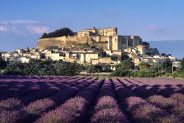 Lais Puzzle - Drome, Provence, Lavendelfeld von Grignan - 2.000 Teile