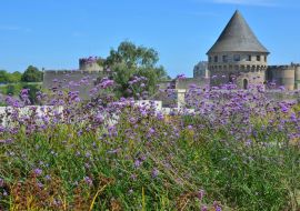 Lais Puzzle - Brest, Tour Tanguy, Bretagne, Frankreich - 1.000 Teile