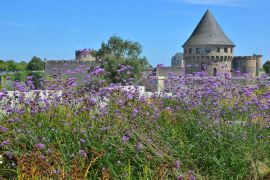 Lais Puzzle - Brest, Tour Tanguy, Bretagne, Frankreich - 2.000 Teile