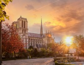 Lais Puzzle - Paris, Kathedrale Notre Dame mit Frühlingsbäumen - 40, 100, 200, 500, 1.000 & 2.000 Teile