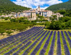 Lais Puzzle - Provence in Frankreich, Lavendelfelder und das Dorf Grigan - 40, 100, 200, 500, 1.000 & 2.000 Teile