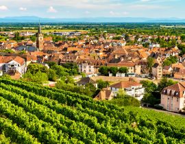 Lais Puzzle - Stadt Obernai mit Weinbergen im Bas-Rhin, Frankreich - 40, 100, 200, 500, 1.000 & 2.000 Teile