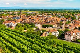 Lais Puzzle - Stadt Obernai mit Weinbergen im Bas-Rhin, Frankreich - 2.000 Teile