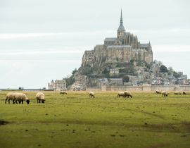 Lais Puzzle - Blick auf den Mont Saint-Michel, Frankreich - 40, 100, 200, 500, 1.000 & 2.000 Teile