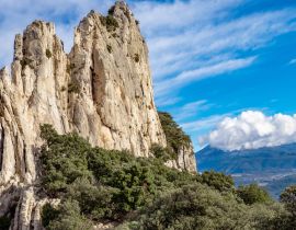 Lais Puzzle - Les dentelles de monmirail in Frankreich - 40, 100, 200, 500, 1.000 & 2.000 Teile