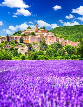 Lais Puzzle - Provence, Frankreich - Dorf Banon auf dem Hügel und Lavendelfeld - 40, 100, 200, 500 & 1.000 Teile