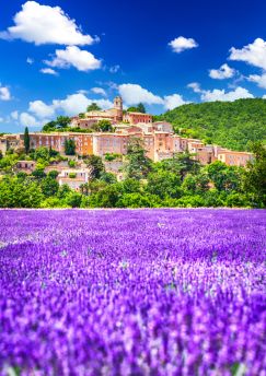 Lais Puzzle - Provence, Frankreich - Dorf Banon auf dem Hügel und Lavendelfeld - 1.000 Teile