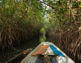 Lais Puzzle - Gambia Mangroven. Traditionelles Langboot. Grüne Mangrovenbäume im Wald. Gambia - 40, 100, 200, 500, 1.000 & 2.000 Teile