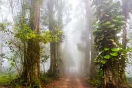 Lais Puzzle - Aburi, Ghana - 2.000 Teile