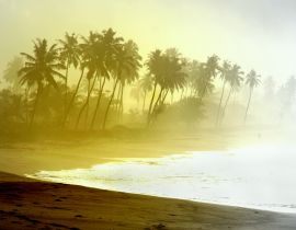 Lais Puzzle - Wilder Atlantikstrand mit Palmensilhouetten in Ghana - 40, 100, 200, 500, 1.000 & 2.000 Teile