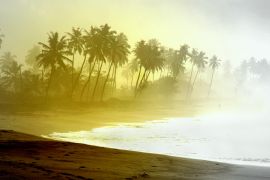 Lais Puzzle - Wilder Atlantikstrand mit Palmensilhouetten in Ghana - 2.000 Teile