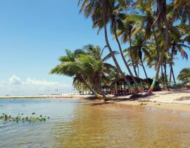 Lais Puzzle - Palmengesäumter Süßwasserstrand bei Ada Foah, Ghana - 40, 100, 200, 500, 1.000 & 2.000 Teile