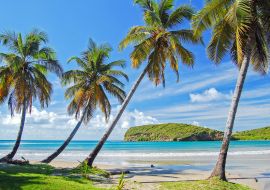 Lais Puzzle - Palmen an einem schönen, abgelegenen Strand auf der Insel Grenada, Karibik, Kleine Antillen - 1.000 Teile