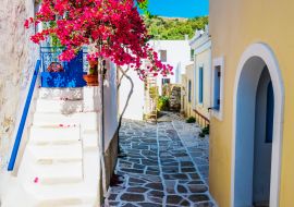 Lais Puzzle - Malerische Gasse mit schönen rosa Bougainvillea-Blüten und gelben Hauswänden. Bunte griechische Straße in Lefkes, Insel Paros - 1.000 Teile