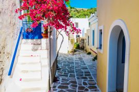 Lais Puzzle - Malerische Gasse mit schönen rosa Bougainvillea-Blüten und gelben Hauswänden. Bunte griechische Straße in Lefkes, Insel Paros - 2.000 Teile