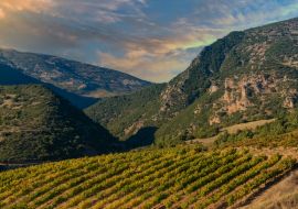 Lais Puzzle - Reiche Weinberge in den inneren Tälern der Halbinsel Peloponnes im Süden des griechischen Festlands - 1.000 Teile