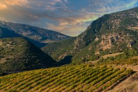 Lais Puzzle - Reiche Weinberge in den inneren Tälern der Halbinsel Peloponnes im Süden des griechischen Festlands - 2.000 Teile